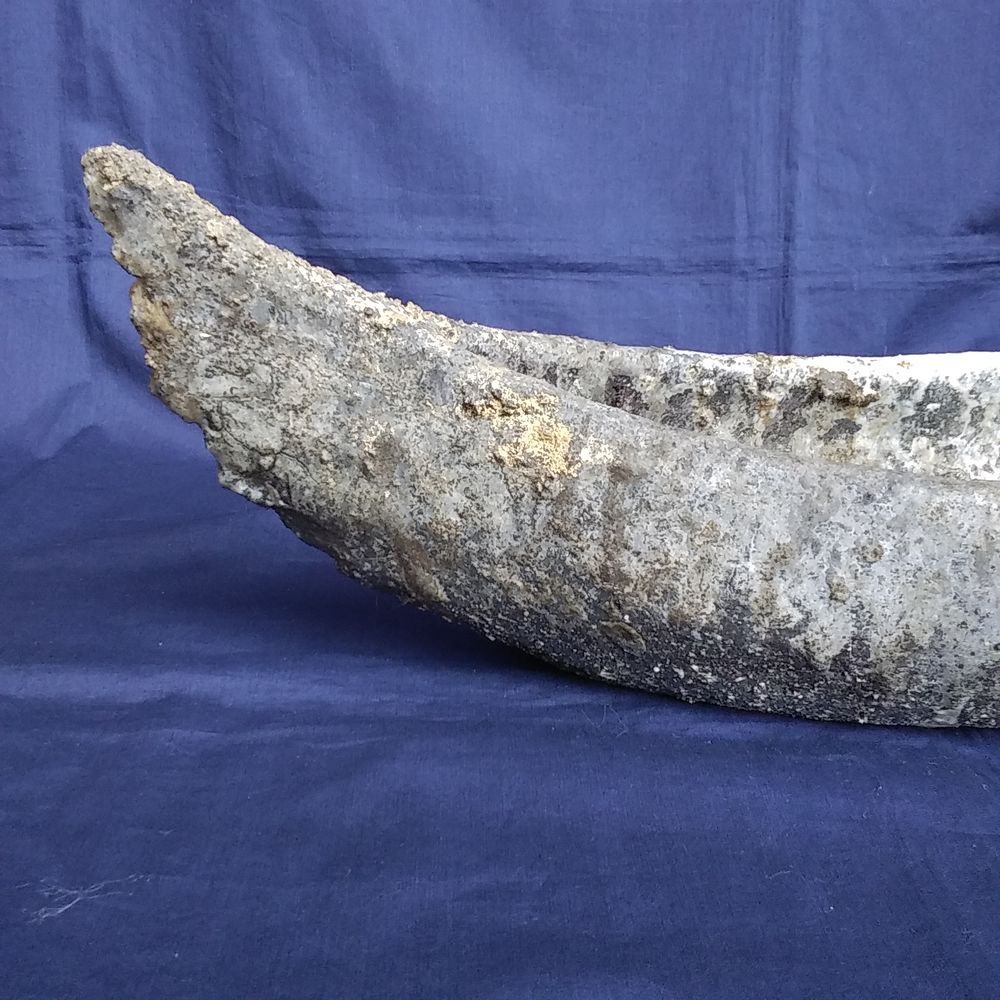 麝香窯　堤綾子作　自然釉　鳳凰花器