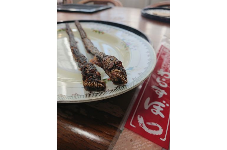 Ay96 讃岐彫　篠原如雪　銘々菓子器　菓子皿　5客　昆虫　木彫　骨董　日本美術 福岡久留米の古美術観古堂は、篠原如雪の、美術品としても名高い作品を