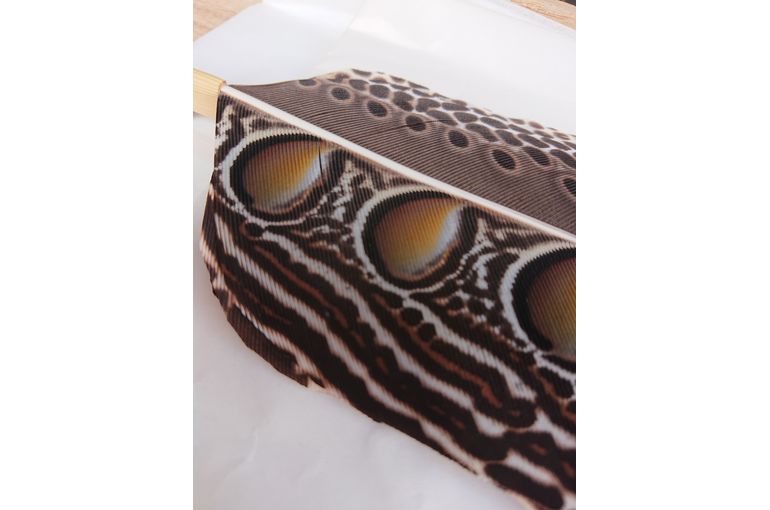 おかみのブログ編》美しすぎるっ！流石…最も珍重されているのも納得