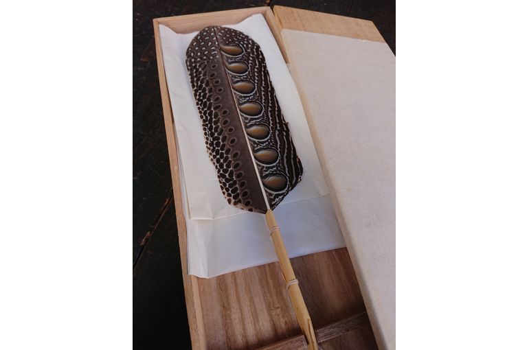 おかみのブログ編》美しすぎるっ！流石…最も珍重されているのも納得