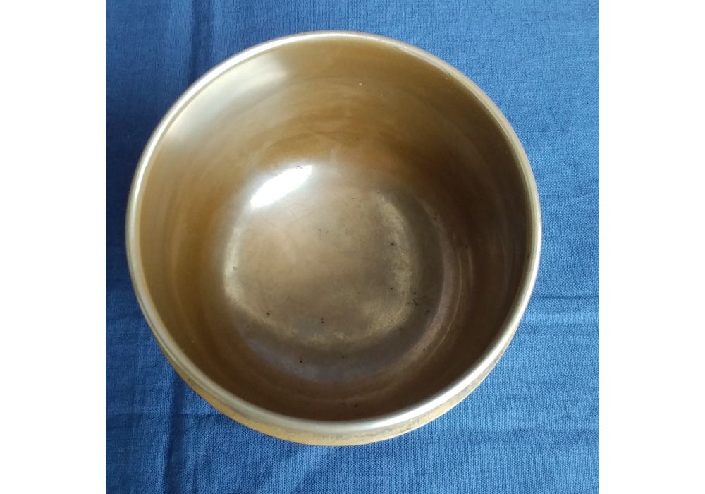 童甫作　海松貝　大棗
